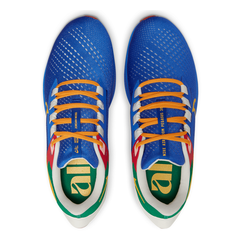 Air Zoom Pegasus 38 A.I.R. Jordan Moss