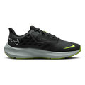 Air Zoom Pegasus 39 Shield