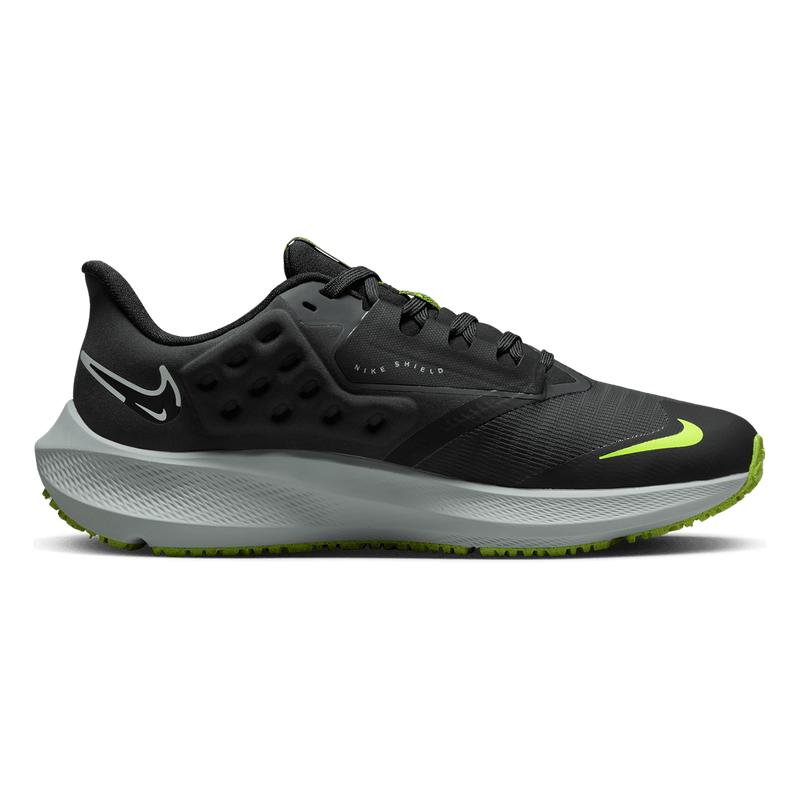 Air Zoom Pegasus 39 Shield