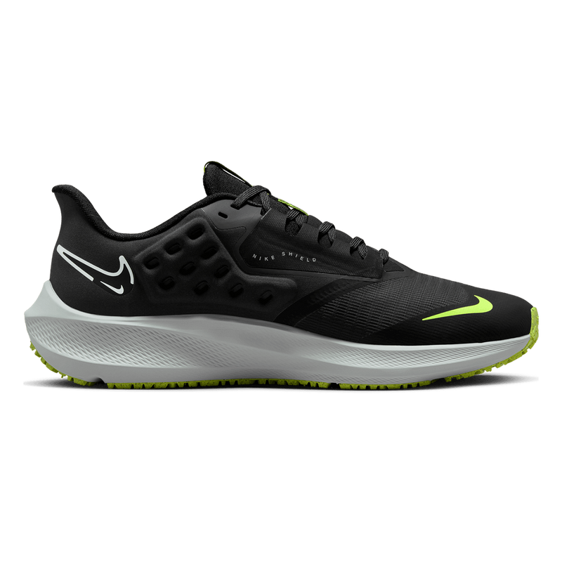 Air Zoom Pegasus 39 Shield