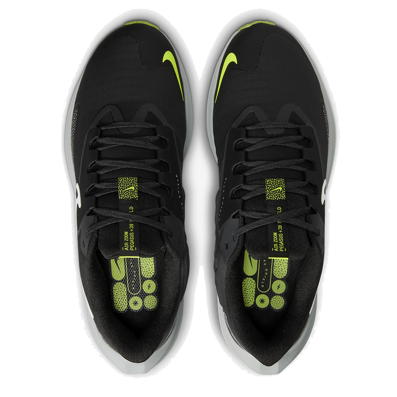 Air Zoom Pegasus 39 Shield