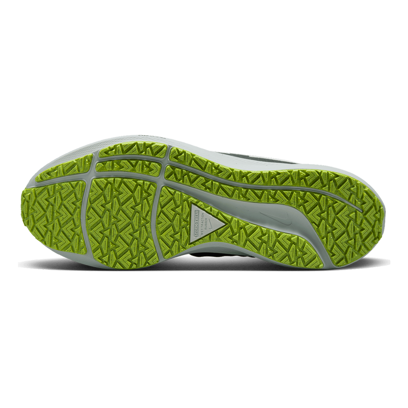 Air Zoom Pegasus 39 Shield