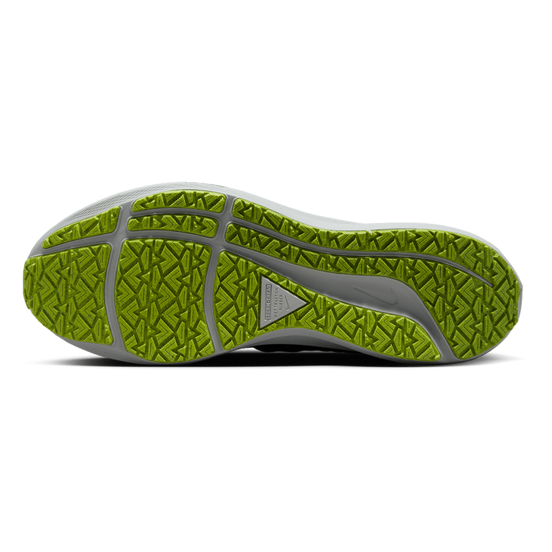 Air Zoom Pegasus 39 Shield