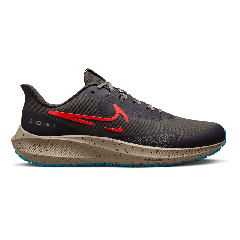 Air Zoom Pegasus 39 Shield