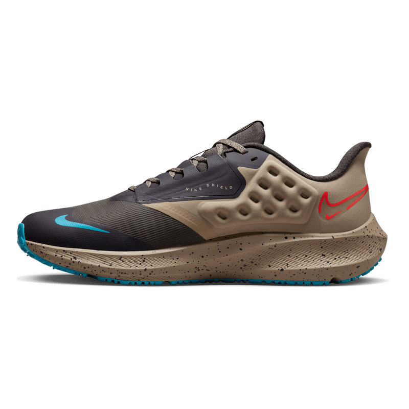 Air Zoom Pegasus 39 Shield