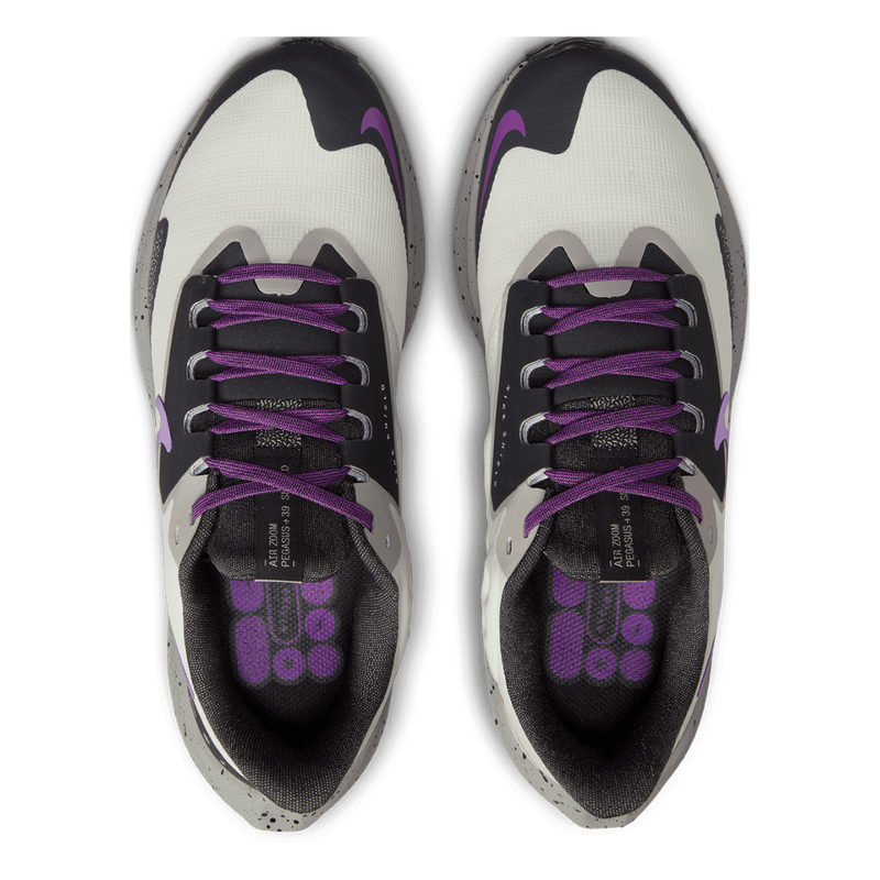 Air Zoom Pegasus 39 Shield