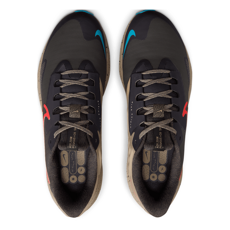 Air Zoom Pegasus 39 Shield