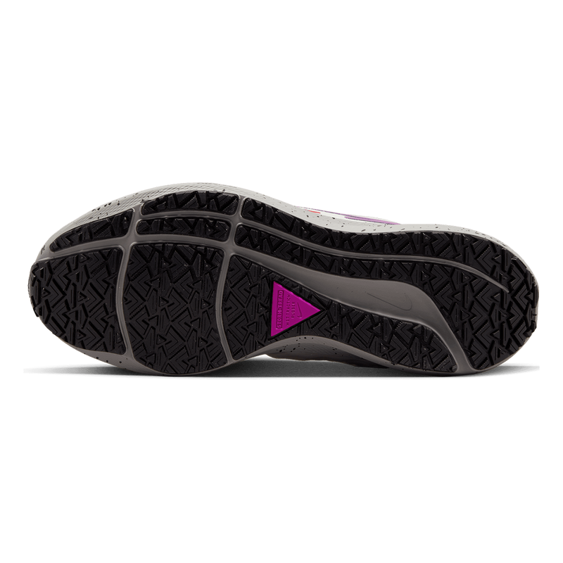 Air Zoom Pegasus 39 Shield