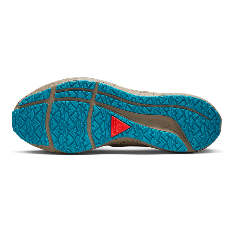 Air Zoom Pegasus 39 Shield