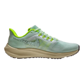 Air Zoom Pegasus 39