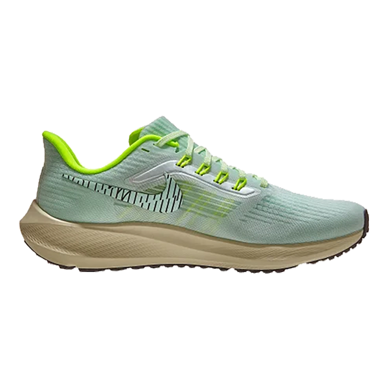 Air Zoom Pegasus 39