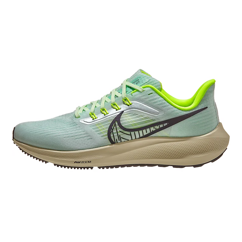 Air Zoom Pegasus 39