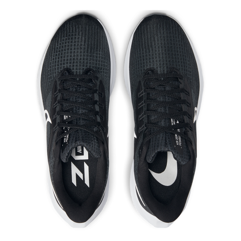 Air Zoom Pegasus 39