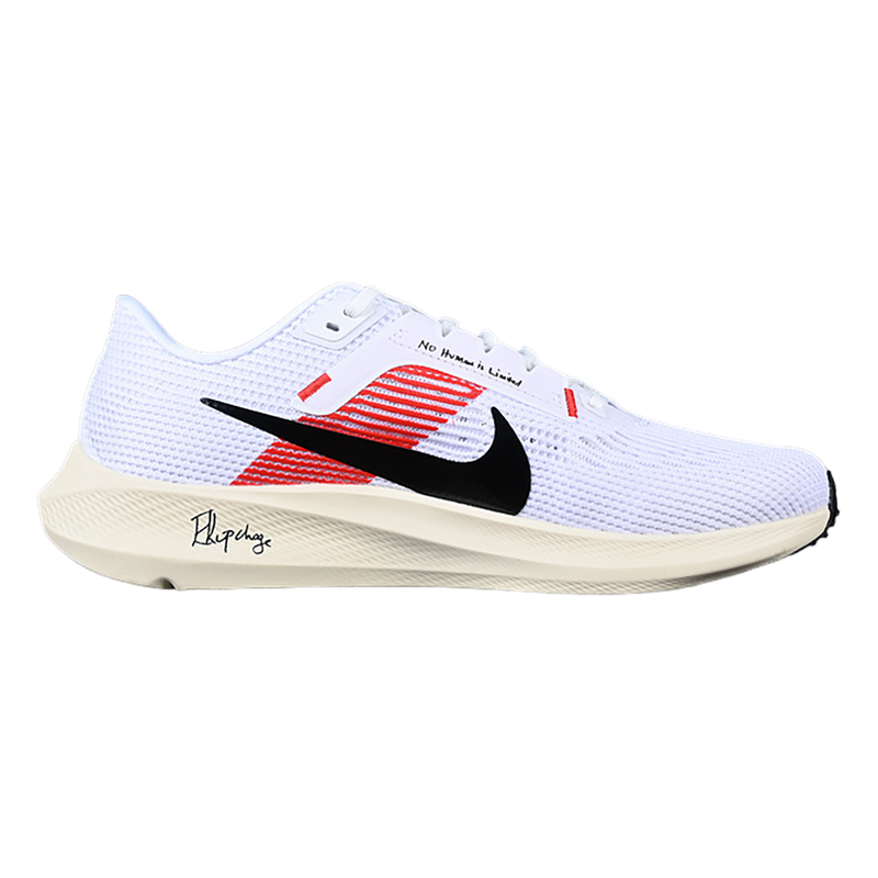 Air Zoom Pegasus 40 EK