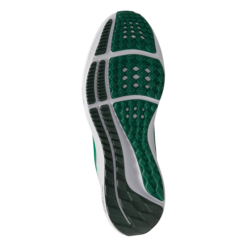 Air Zoom Pegasus 40 Premium