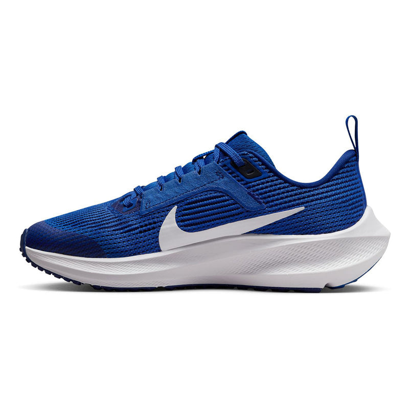 Air Zoom Pegasus 40
