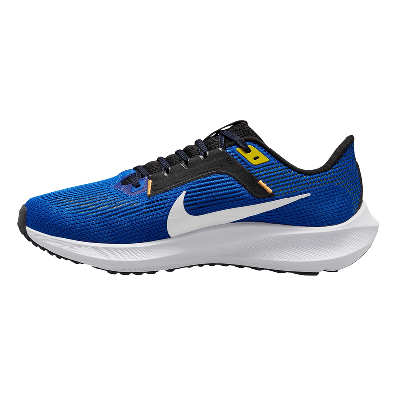 Air Zoom Pegasus 40