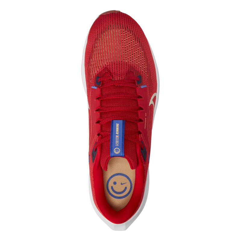 Air Zoom Pegasus 40