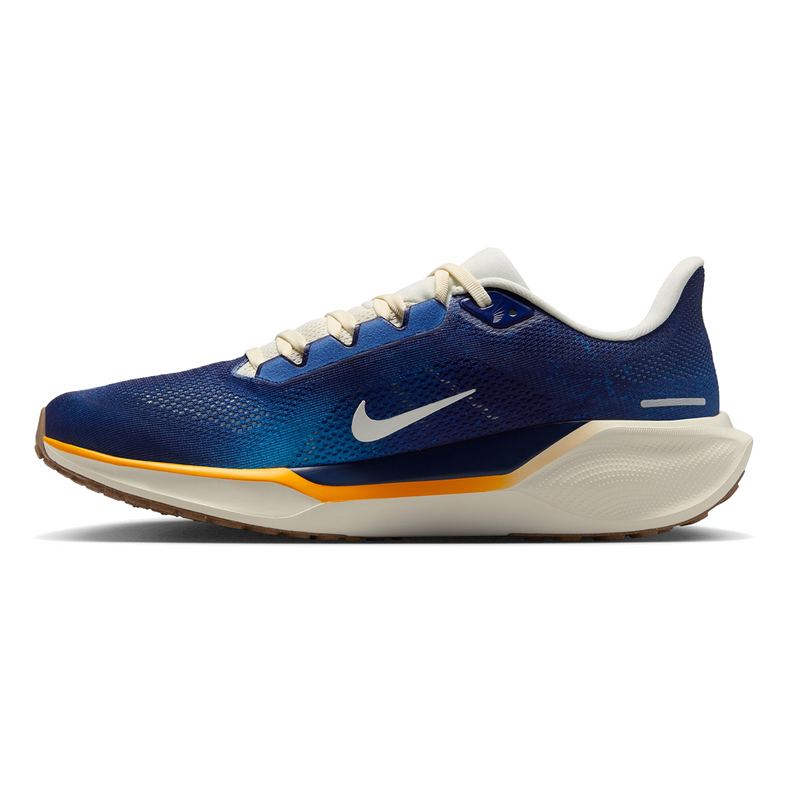 Air Zoom Pegasus 41