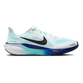 Air Zoom Pegasus 41