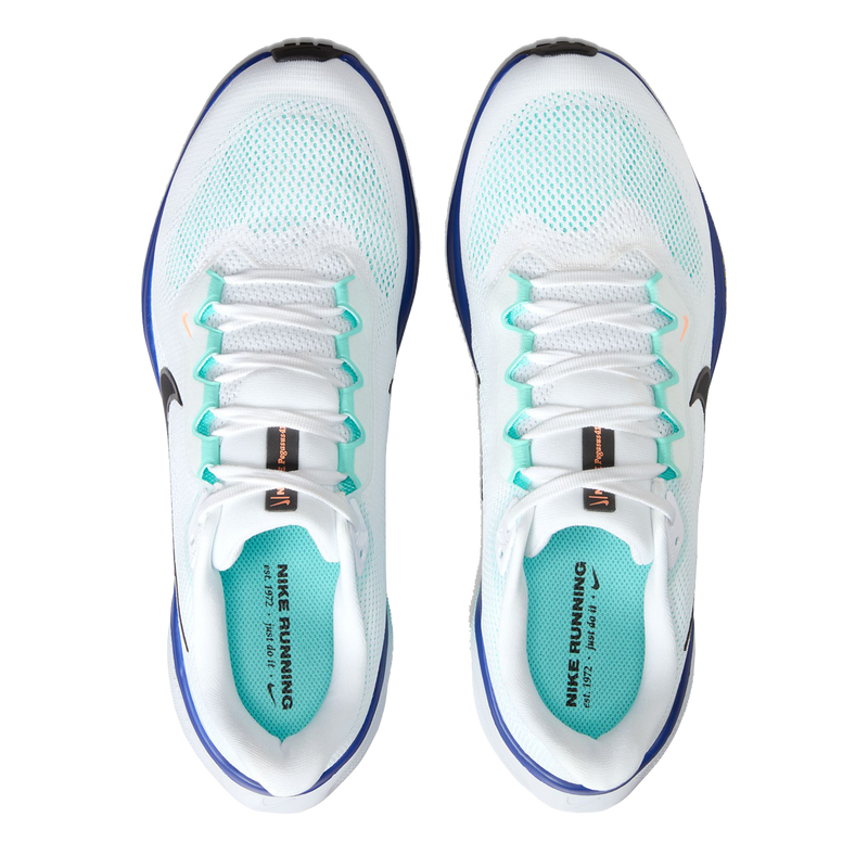 Air Zoom Pegasus 41