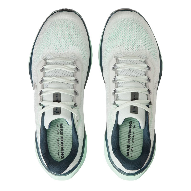 Air Zoom Pegasus 41