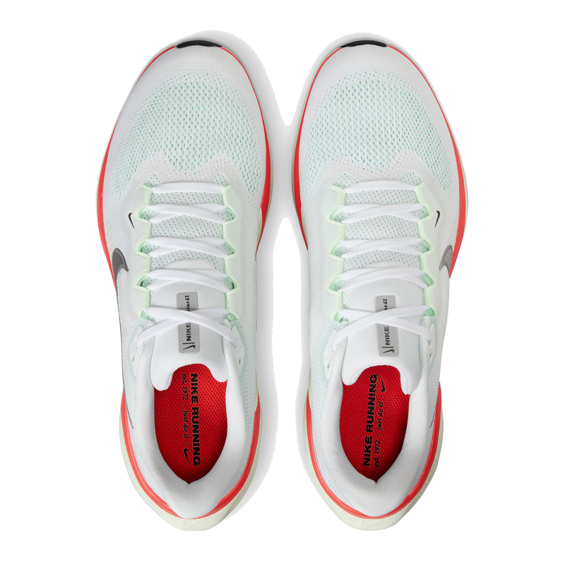 Air Zoom Pegasus 41