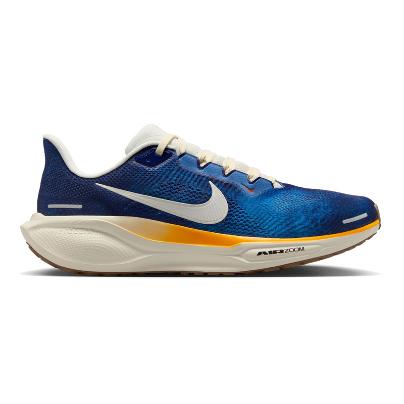 Air Zoom Pegasus 41
