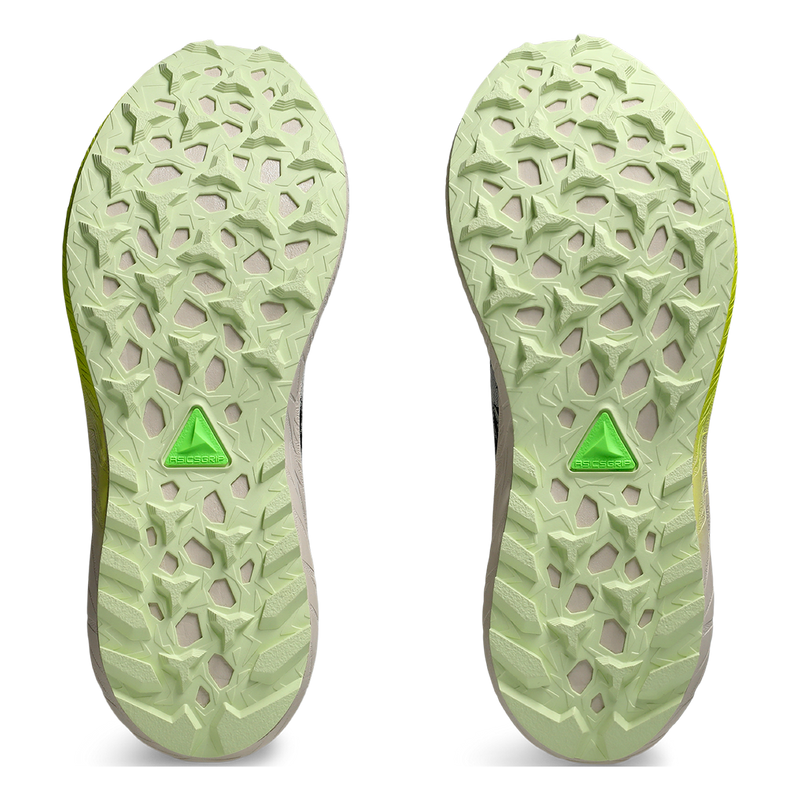 Asics Fuji Lite 5