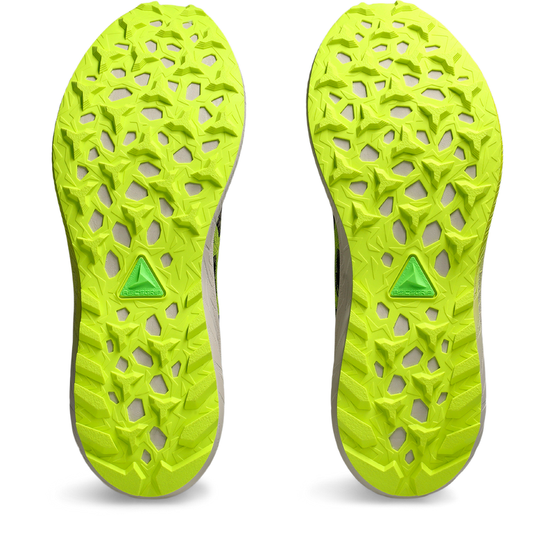 Asics Fuji Lite 5