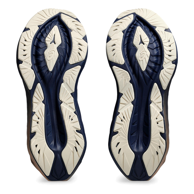 Asics Novablast 4 Platinum