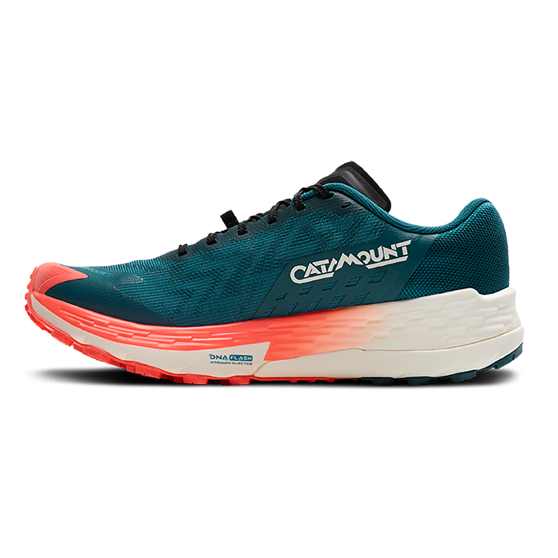 Brooks Catamount 4