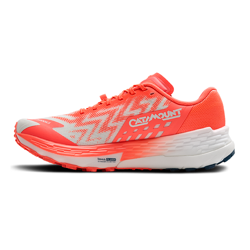 Brooks Catamount 4