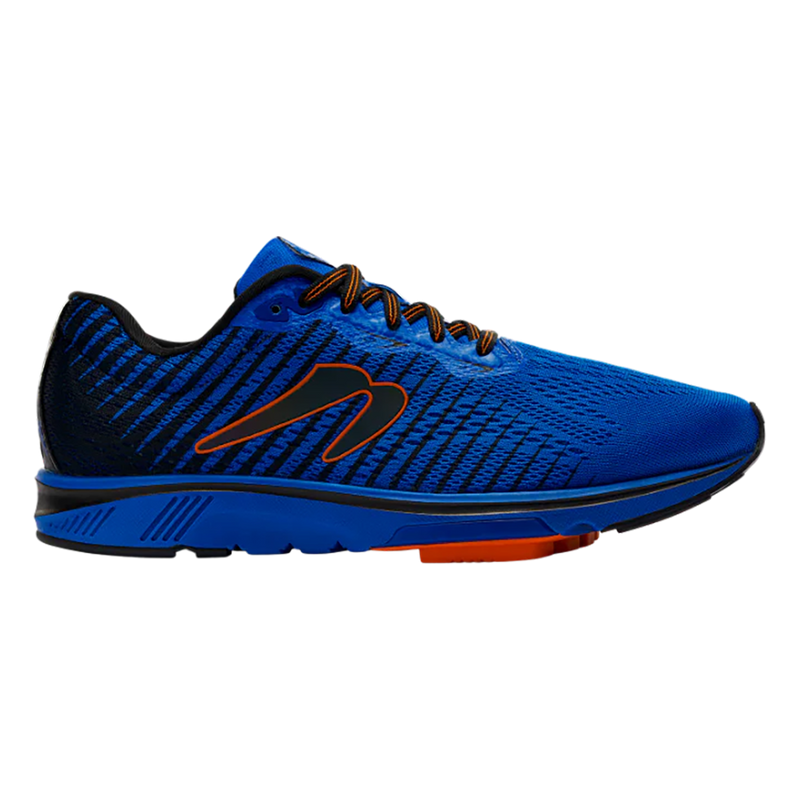 Newton Gravity 12