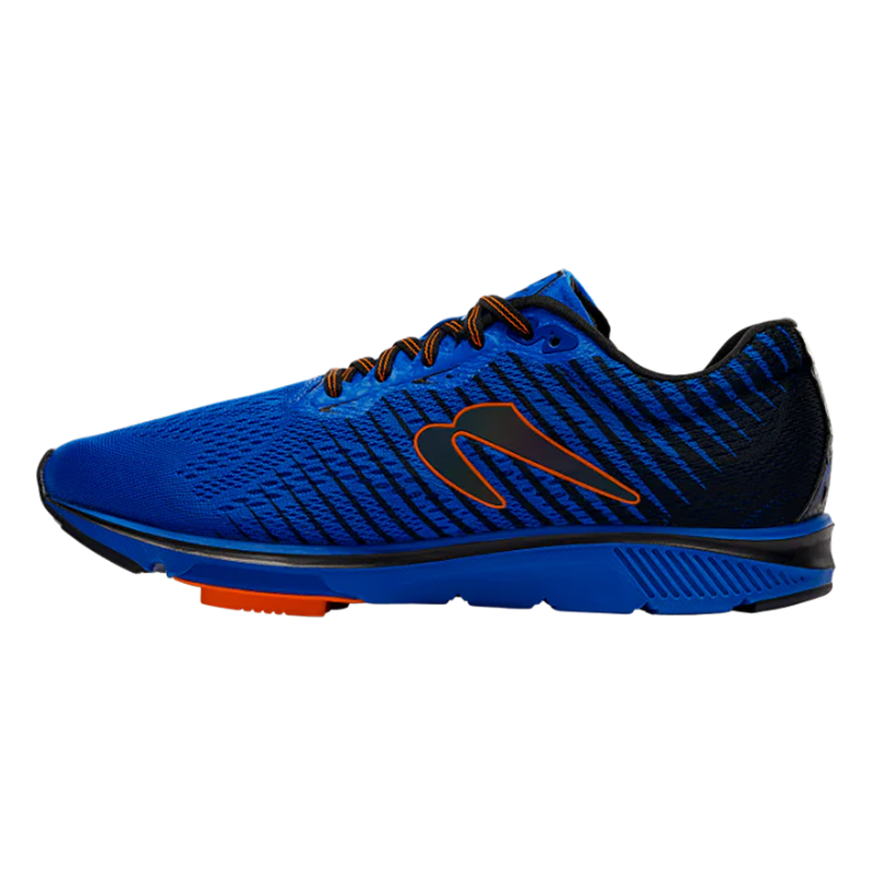 Newton Gravity 12