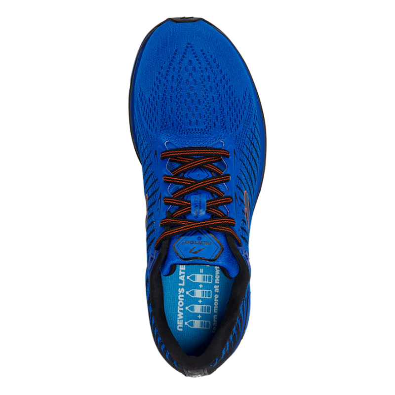 Newton Gravity 12
