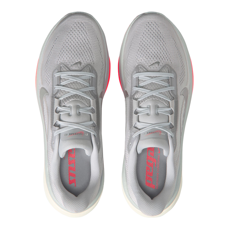 Pegasus 42