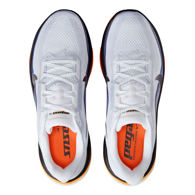 Pegasus 42