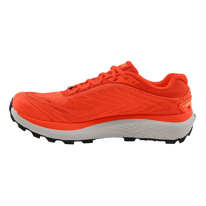 Topo Pursuit 2